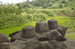 Stupas,Sri Suryapahar Ruins,Dist.-Goalpara,Assam./></a>
  


	
	<a class=